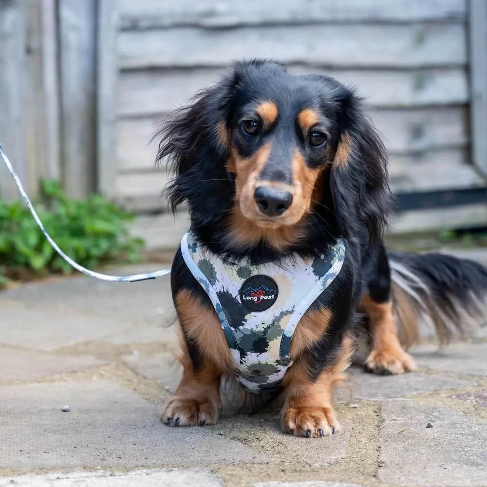 Funk the Dog Harness | Paint Splodge Grey