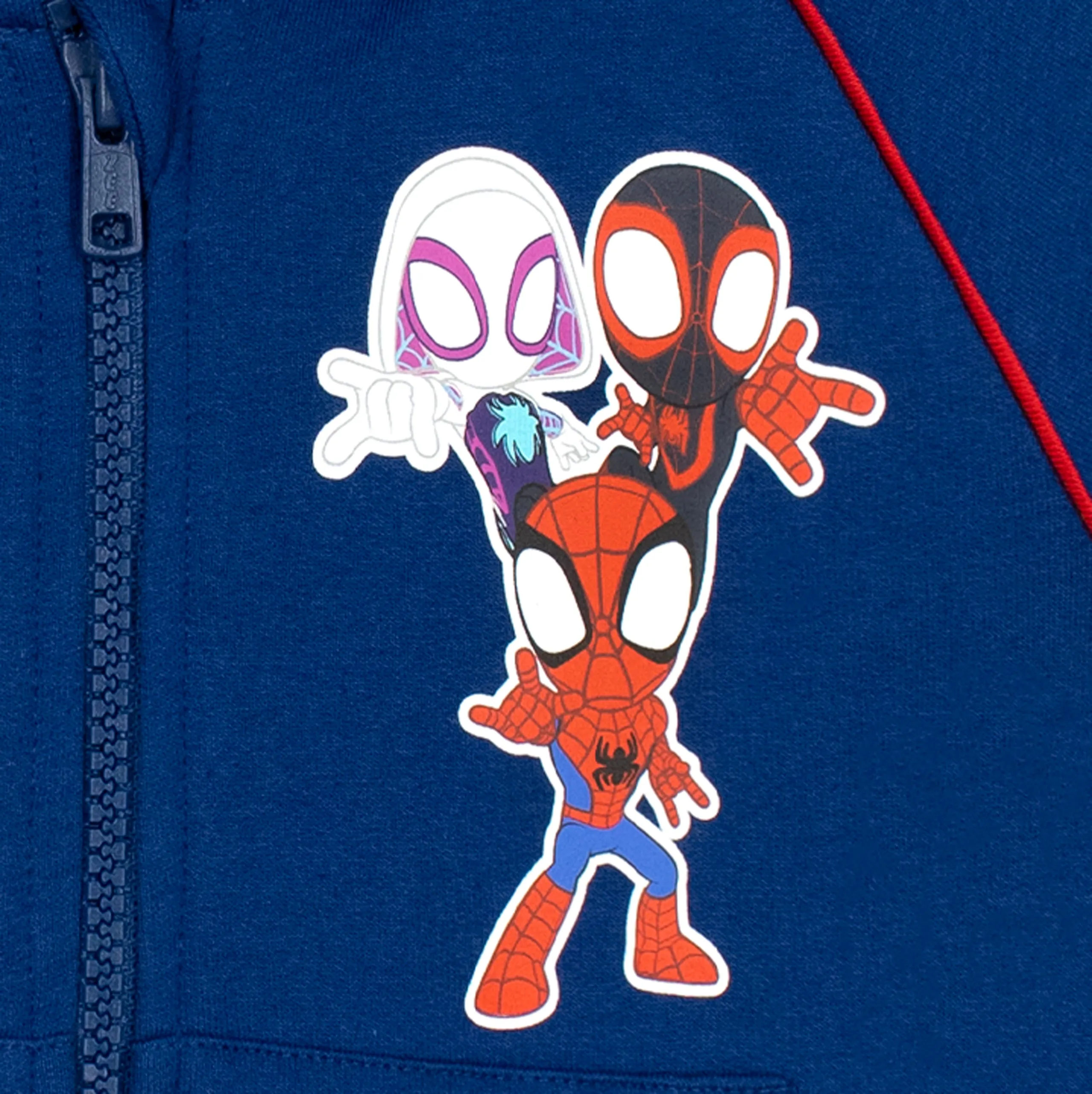 Spidey And His Amazing Friends Hoodie