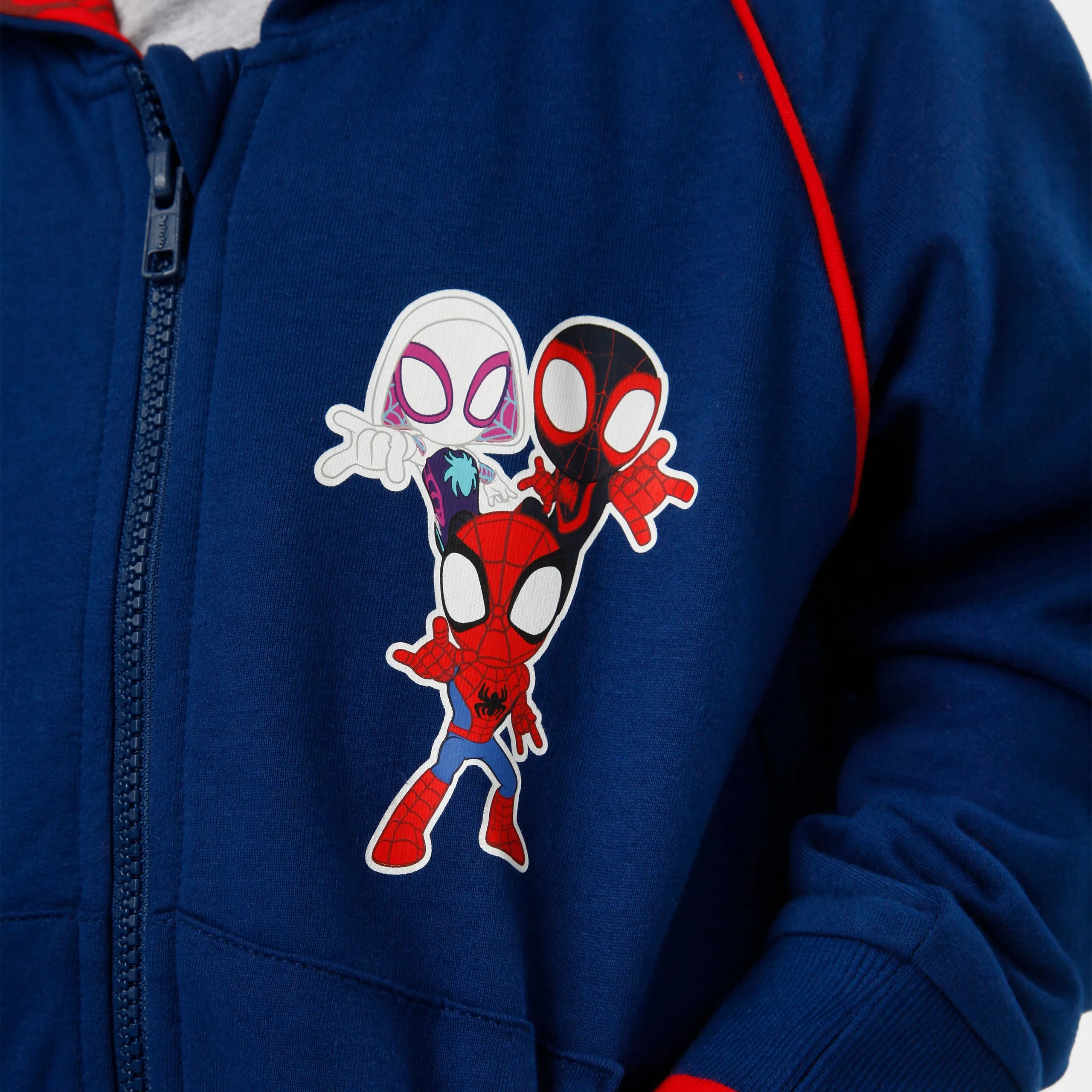 Spidey And His Amazing Friends Hoodie