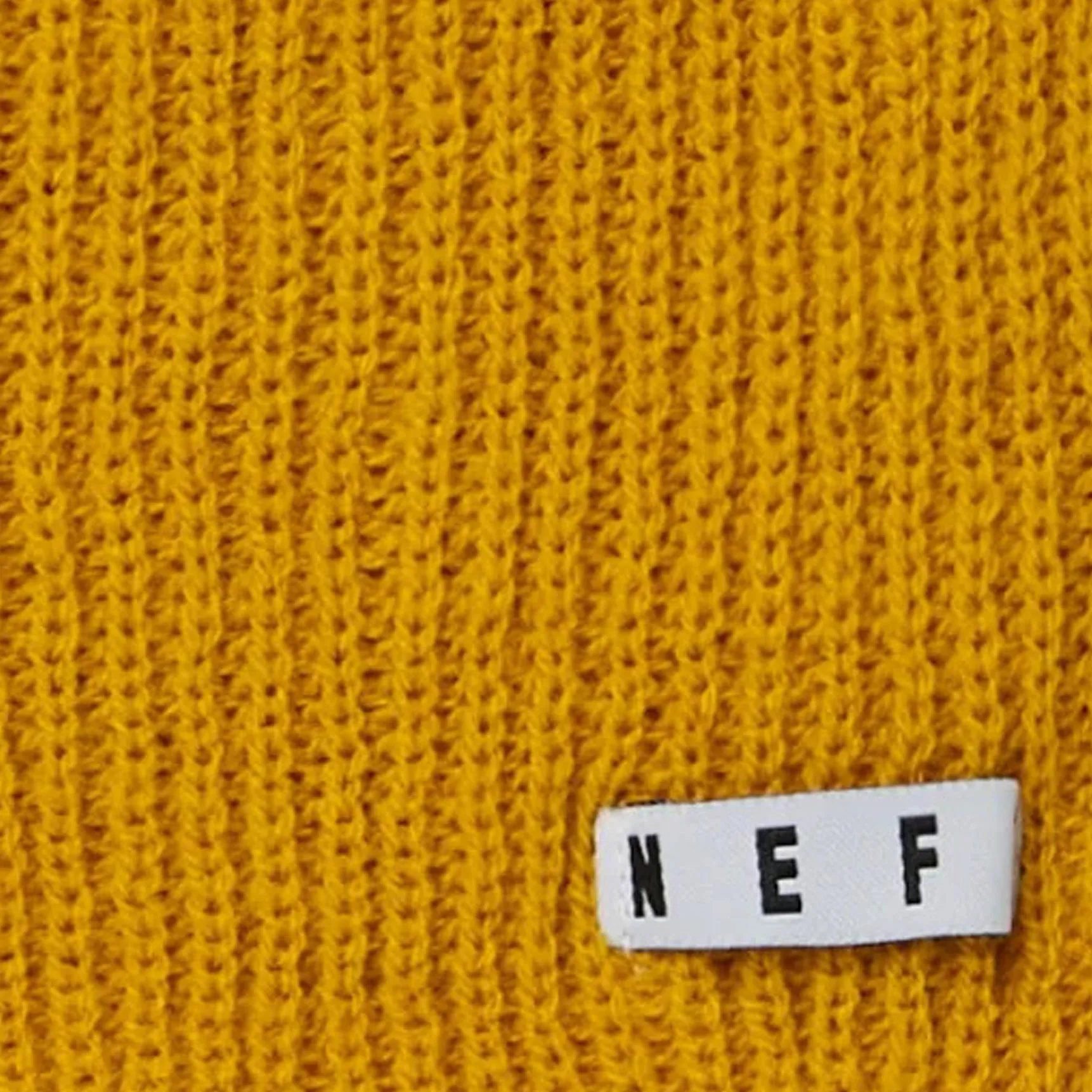 Unisex NEFF Daily Beanie